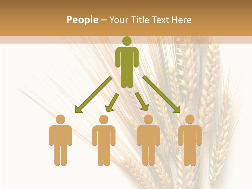 Closeup Dry Agricultural PowerPoint Template