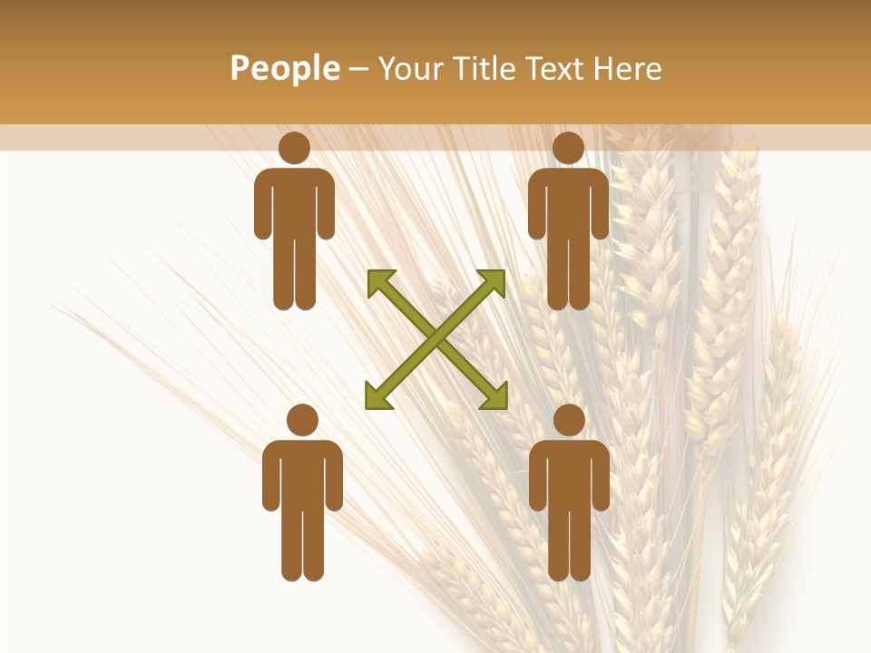 Closeup Dry Agricultural PowerPoint Template