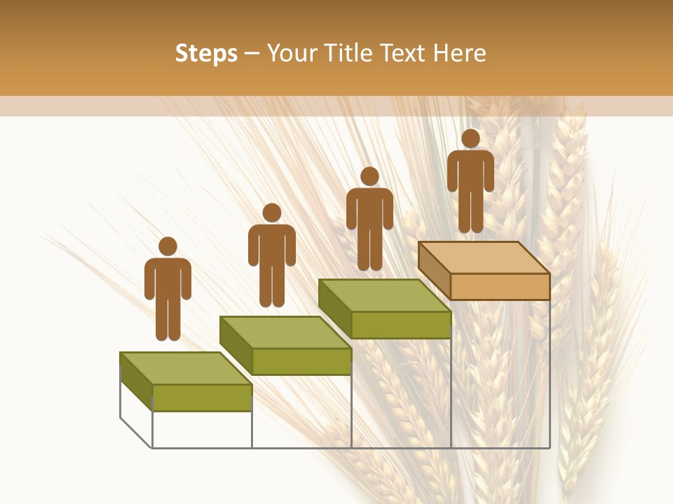 Closeup Dry Agricultural PowerPoint Template