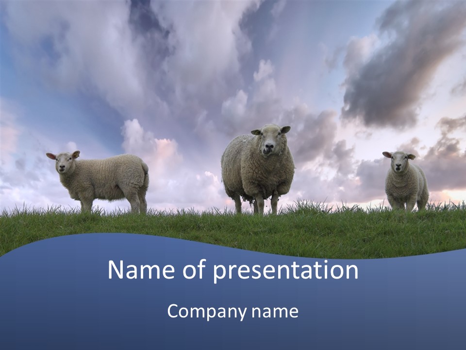 Curious Babe Grass PowerPoint Template