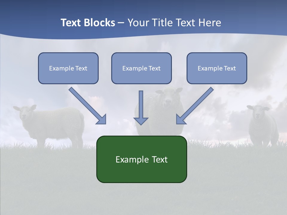 Curious Babe Grass PowerPoint Template
