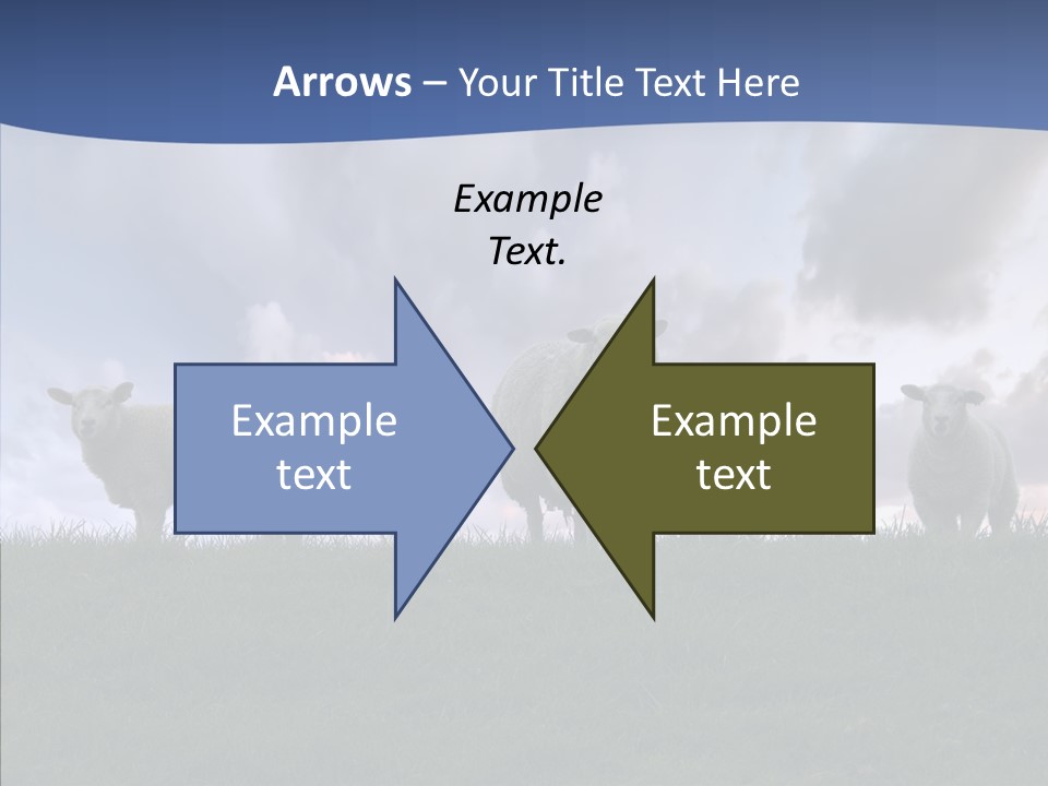 Curious Babe Grass PowerPoint Template