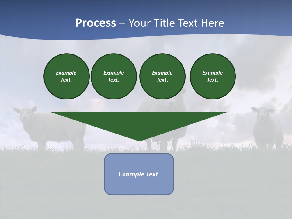 Curious Babe Grass PowerPoint Template