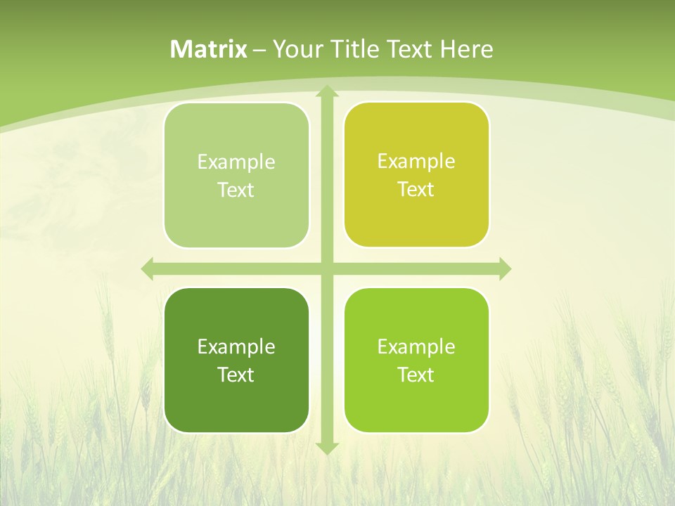 Green Orange Summertime PowerPoint Template