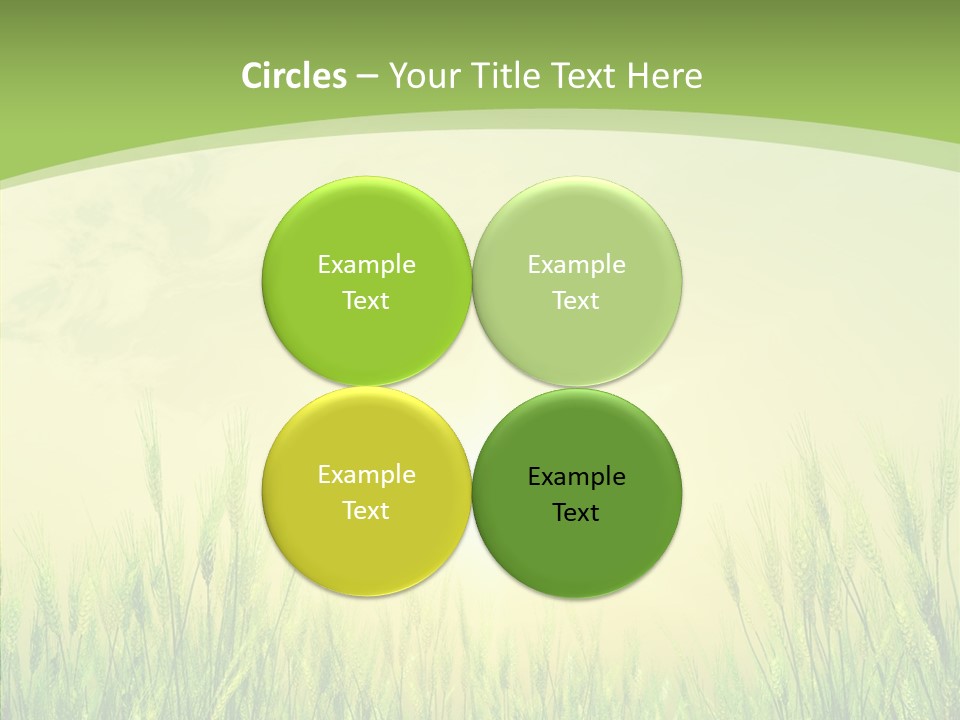 Green Orange Summertime PowerPoint Template