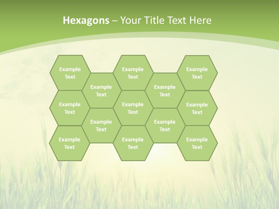 Green Orange Summertime PowerPoint Template