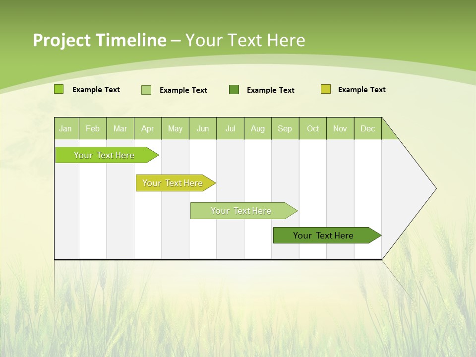 Green Orange Summertime PowerPoint Template