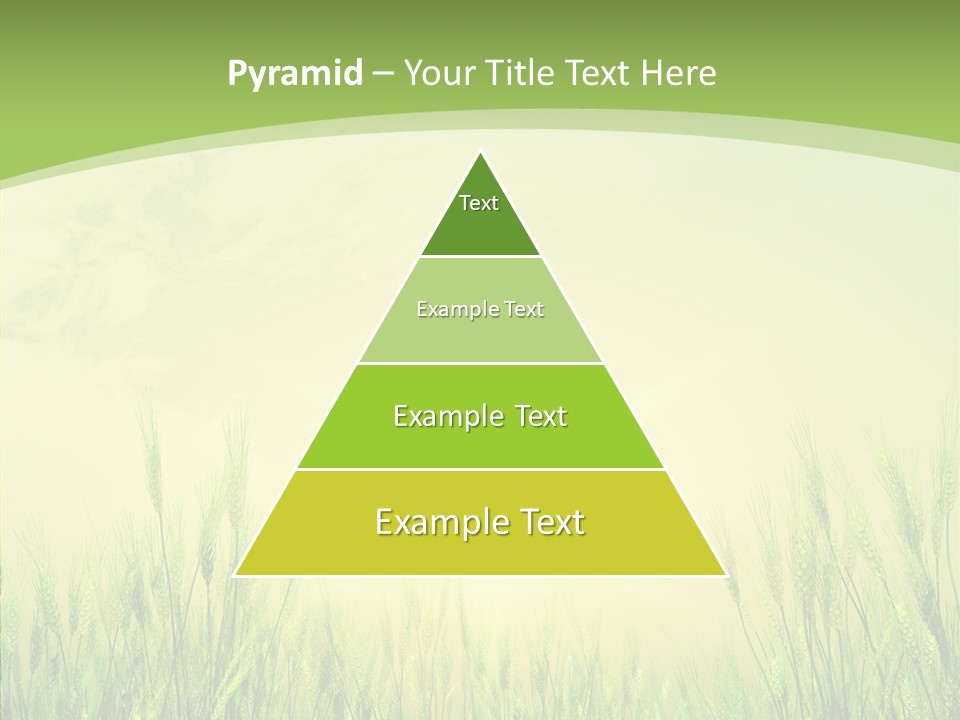 Green Orange Summertime PowerPoint Template