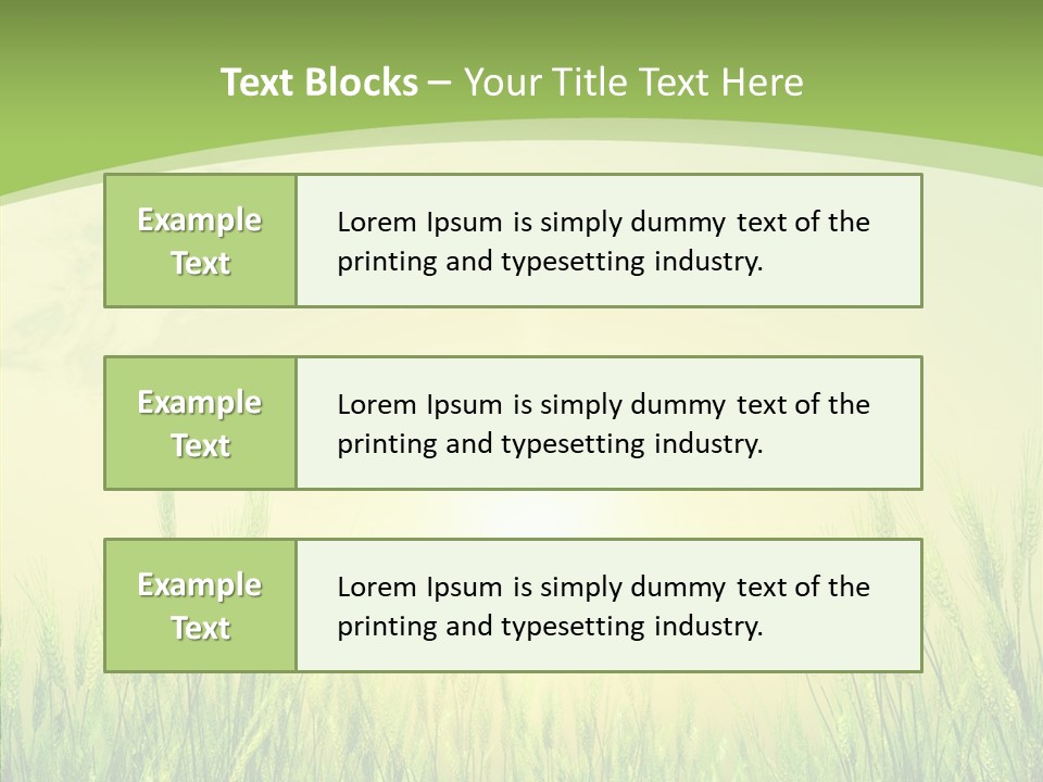 Green Orange Summertime PowerPoint Template
