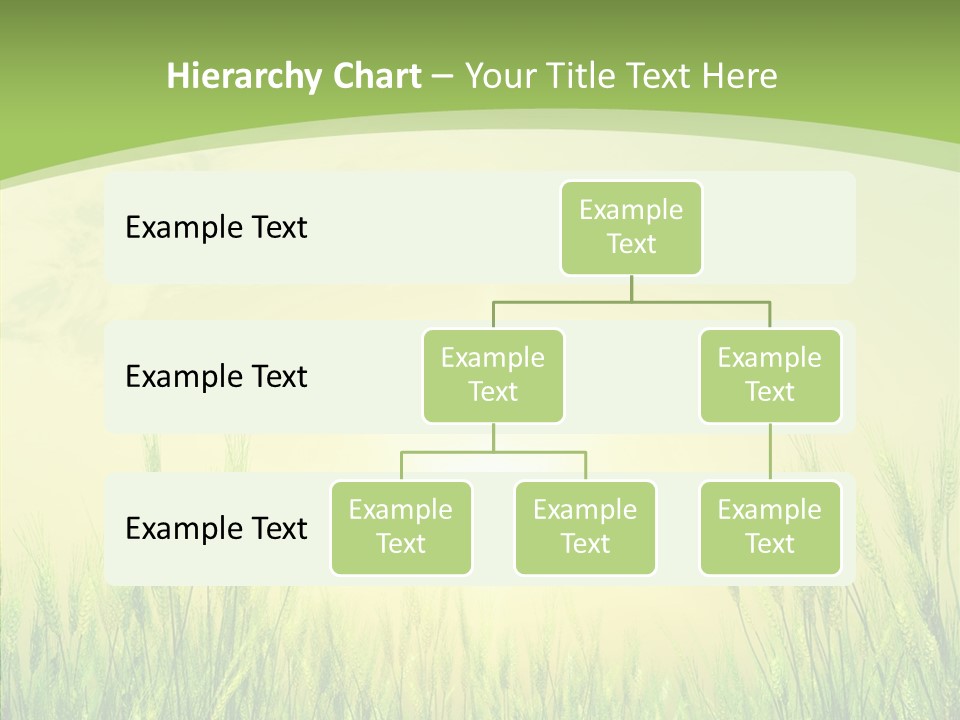 Green Orange Summertime PowerPoint Template