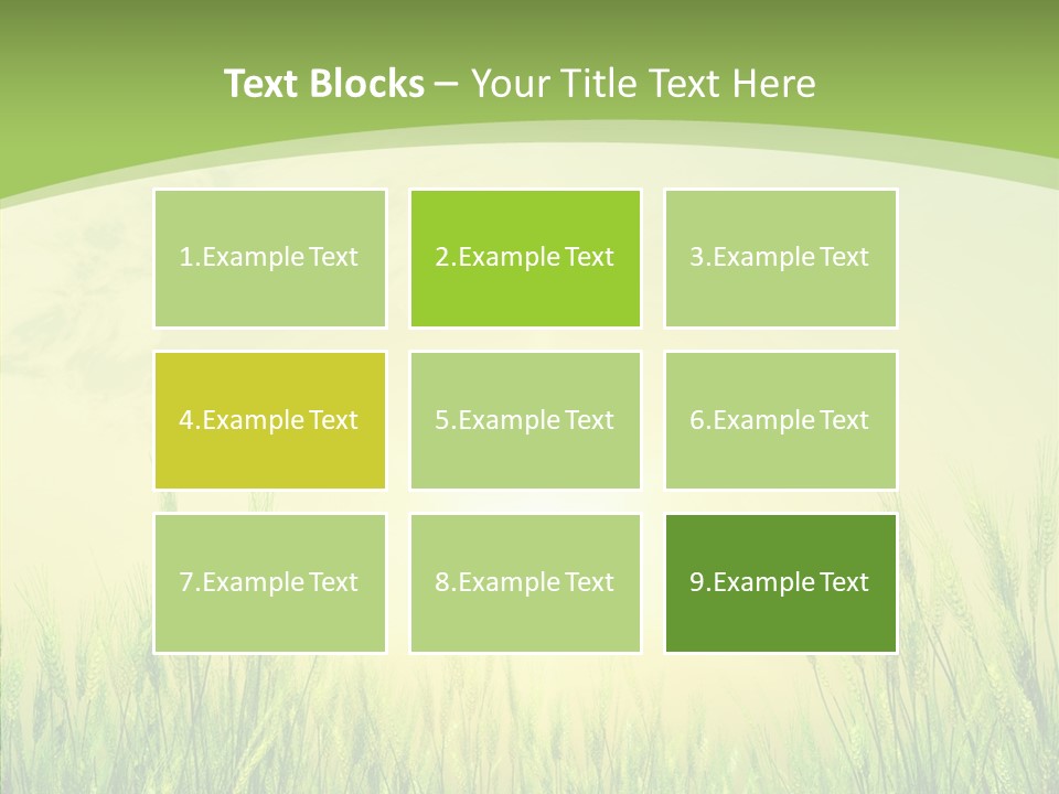 Green Orange Summertime PowerPoint Template
