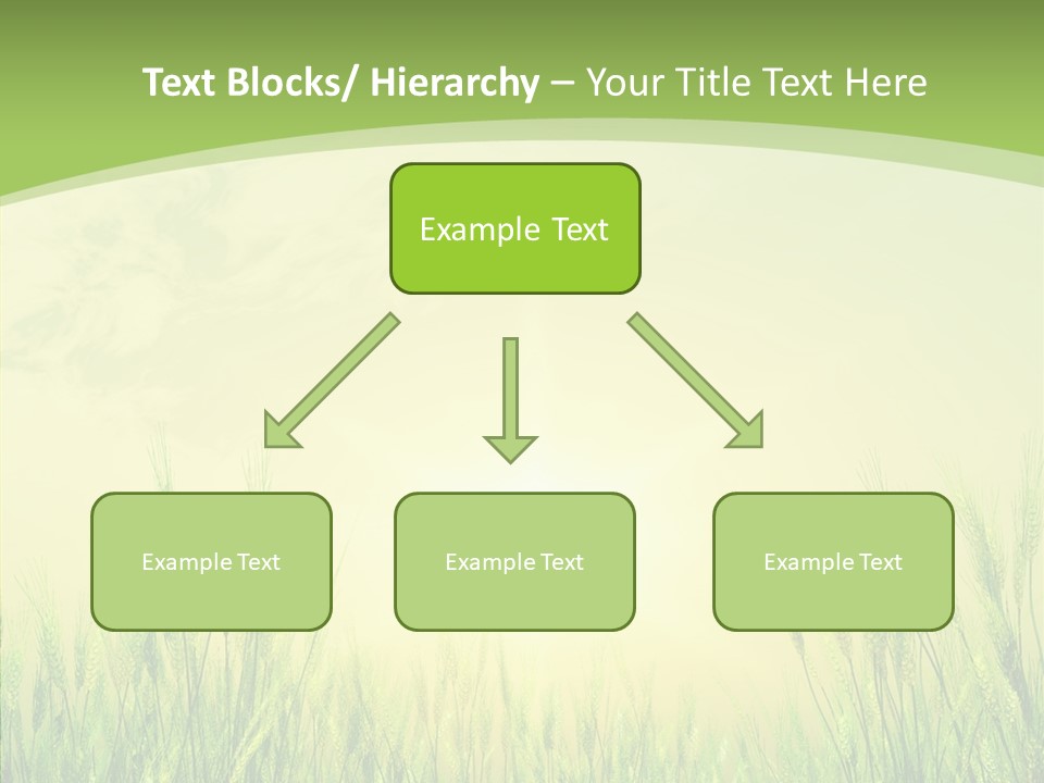 Green Orange Summertime PowerPoint Template
