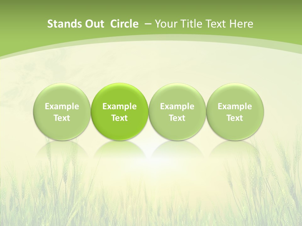 Green Orange Summertime PowerPoint Template