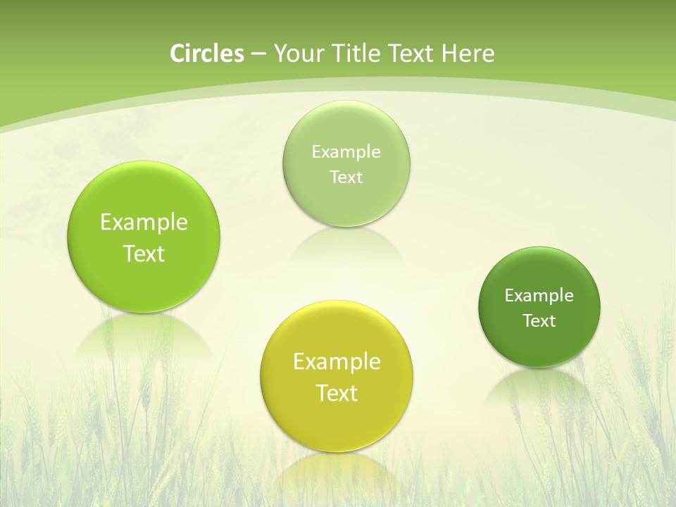 Green Orange Summertime PowerPoint Template