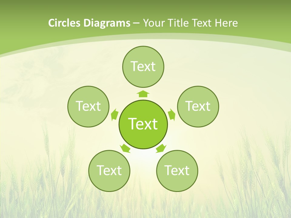 Green Orange Summertime PowerPoint Template