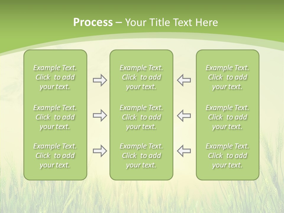 Green Orange Summertime PowerPoint Template