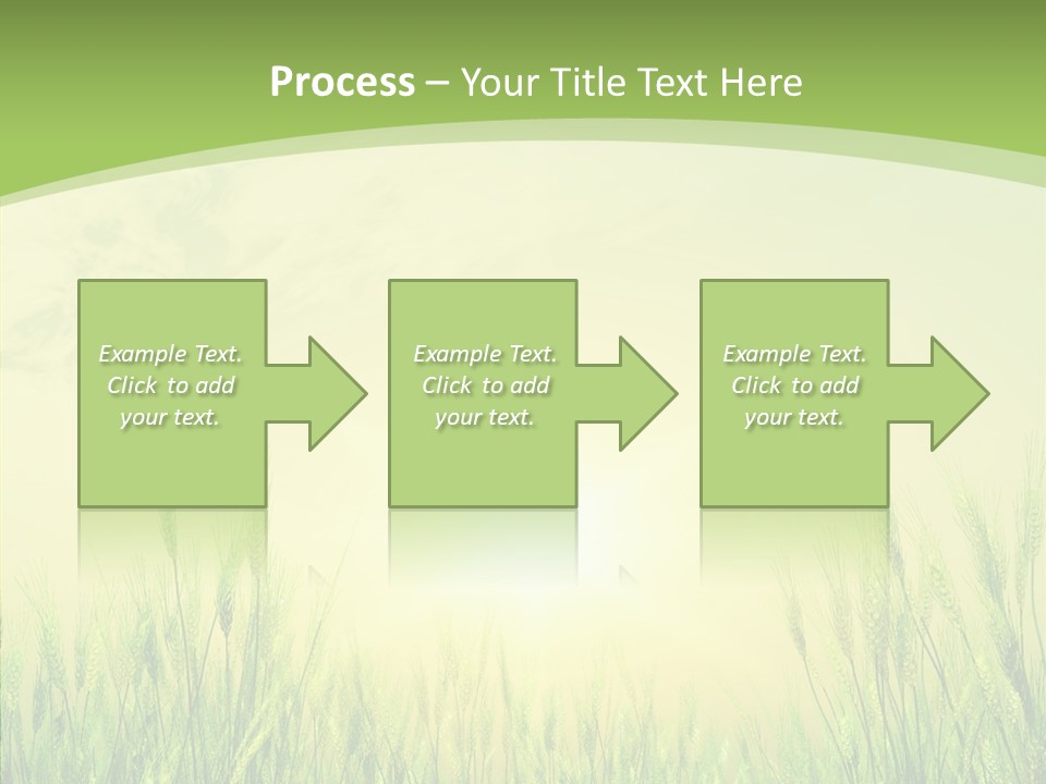 Green Orange Summertime PowerPoint Template