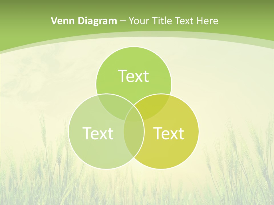 Green Orange Summertime PowerPoint Template