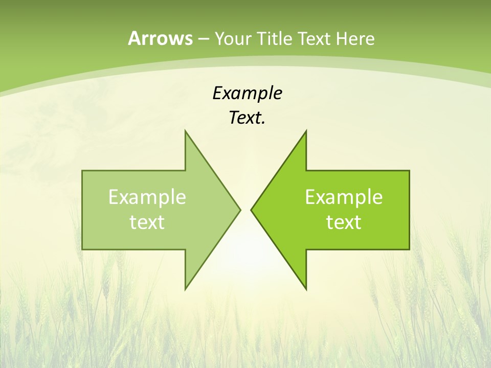 Green Orange Summertime PowerPoint Template