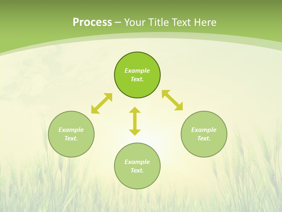 Green Orange Summertime PowerPoint Template