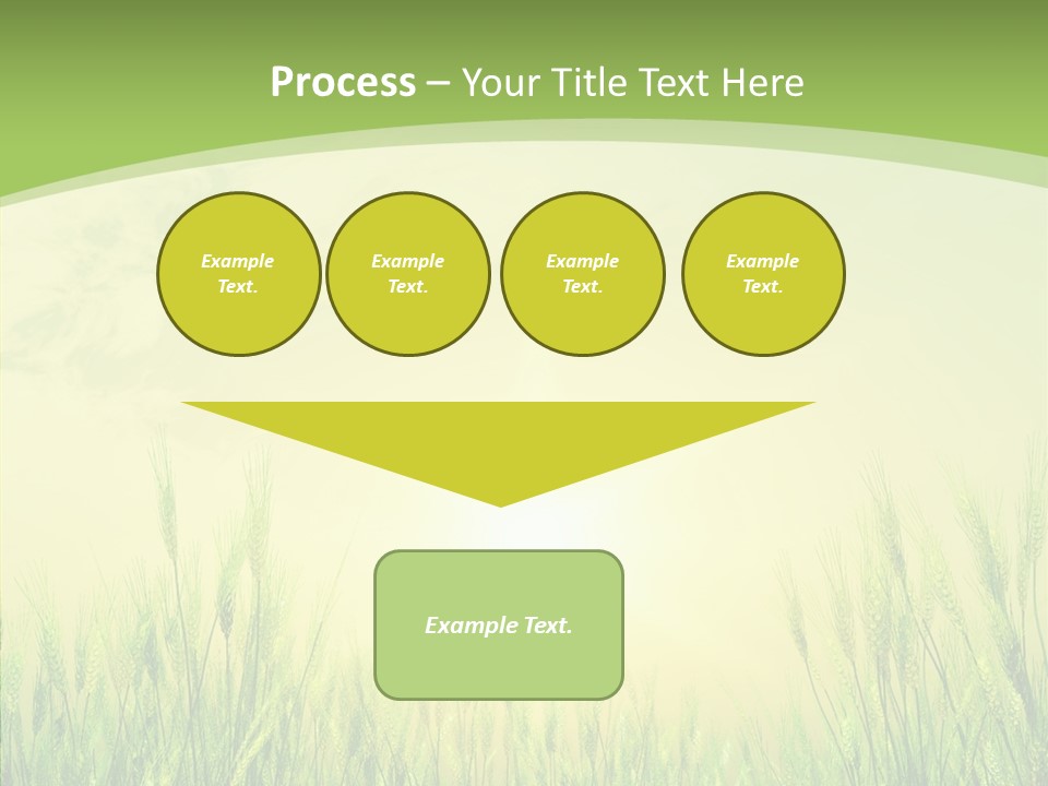 Green Orange Summertime PowerPoint Template