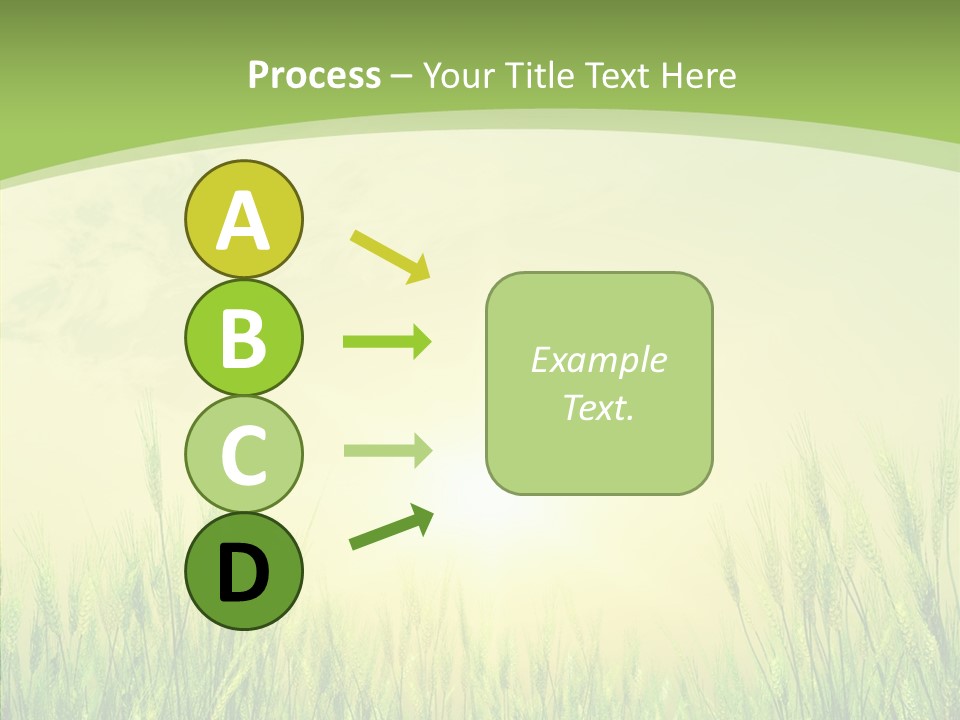 Green Orange Summertime PowerPoint Template