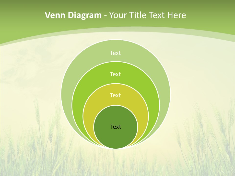 Green Orange Summertime PowerPoint Template
