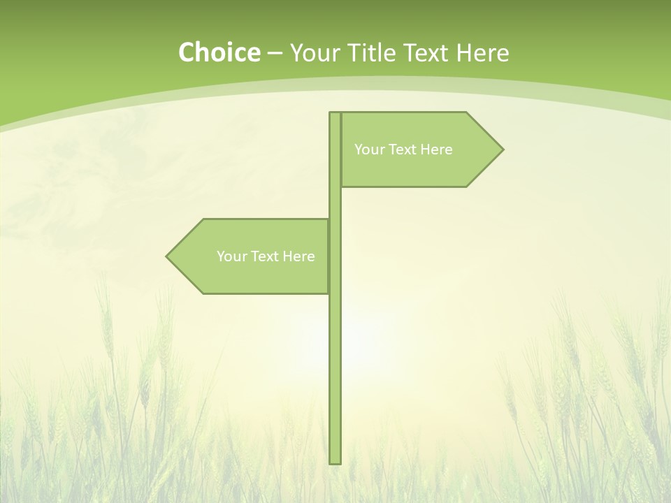 Green Orange Summertime PowerPoint Template