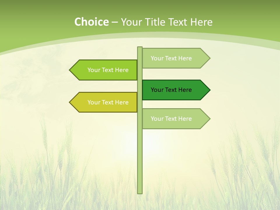 Green Orange Summertime PowerPoint Template