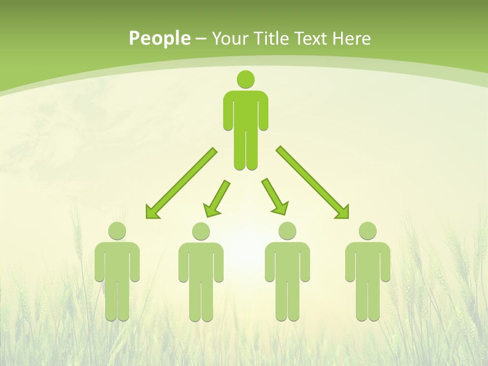 Green Orange Summertime PowerPoint Template