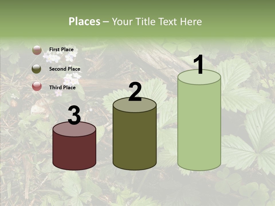 Generic Grass Leafs PowerPoint Template