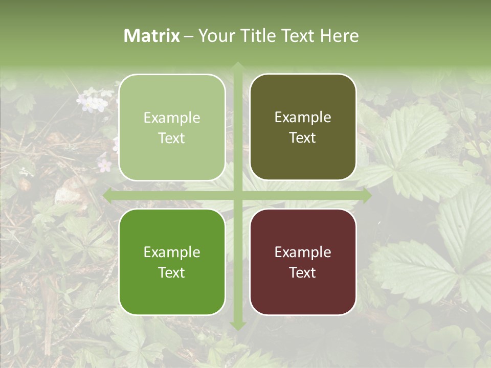 Generic Grass Leafs PowerPoint Template