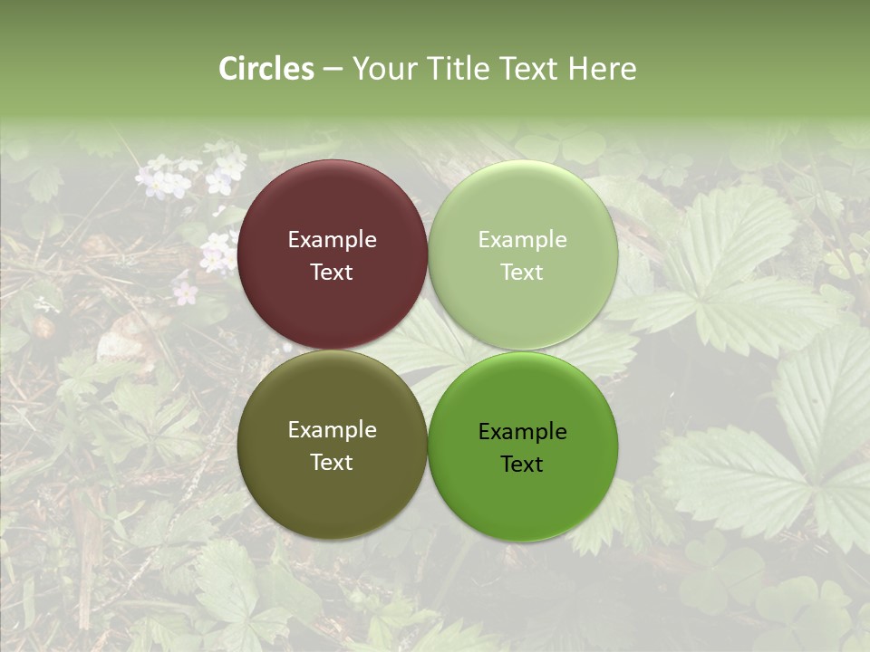 Generic Grass Leafs PowerPoint Template
