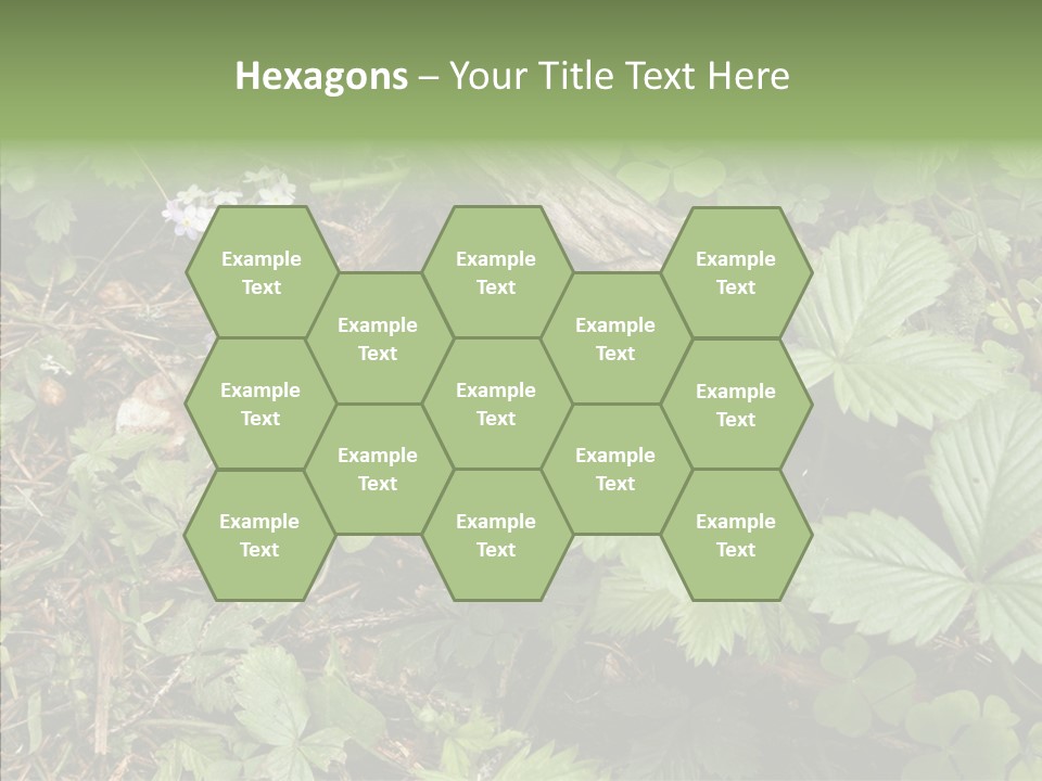 Generic Grass Leafs PowerPoint Template