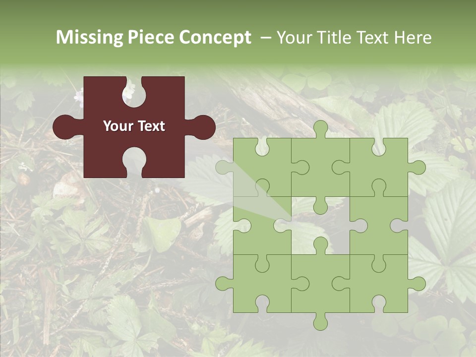 Generic Grass Leafs PowerPoint Template