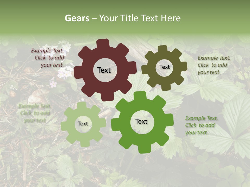 Generic Grass Leafs PowerPoint Template