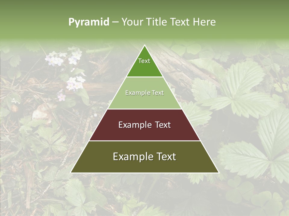 Generic Grass Leafs PowerPoint Template