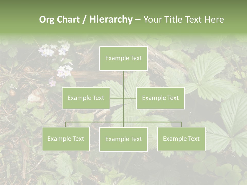 Generic Grass Leafs PowerPoint Template