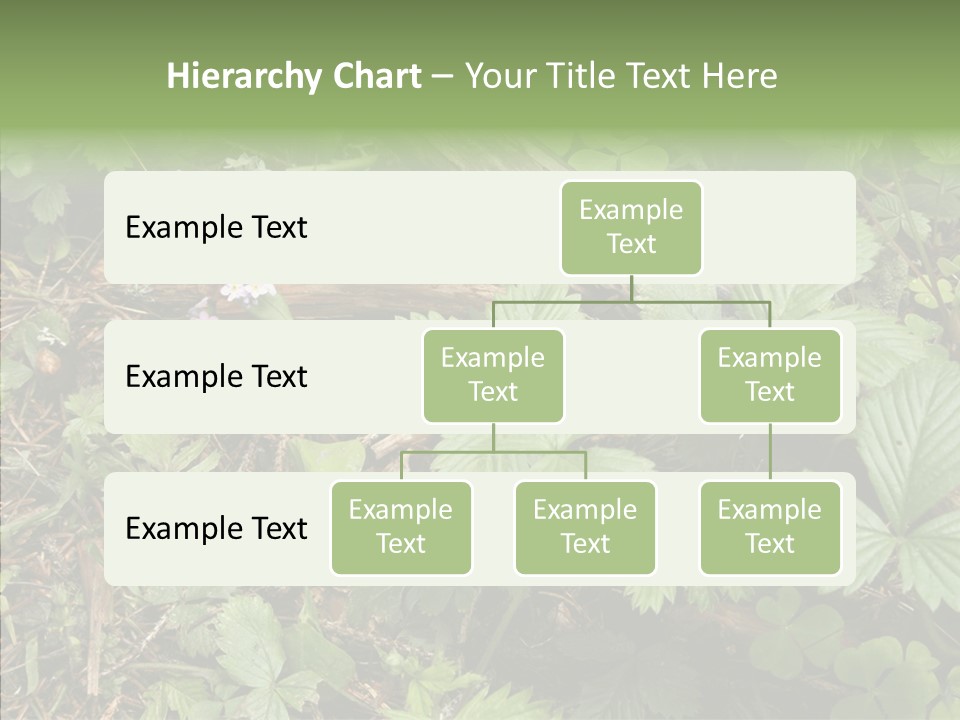 Generic Grass Leafs PowerPoint Template
