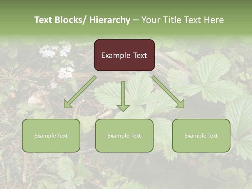 Generic Grass Leafs PowerPoint Template