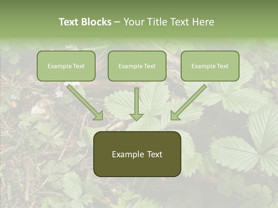 Generic Grass Leafs PowerPoint Template