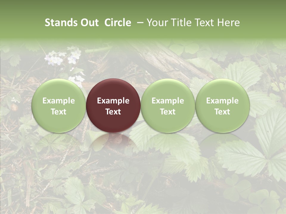 Generic Grass Leafs PowerPoint Template