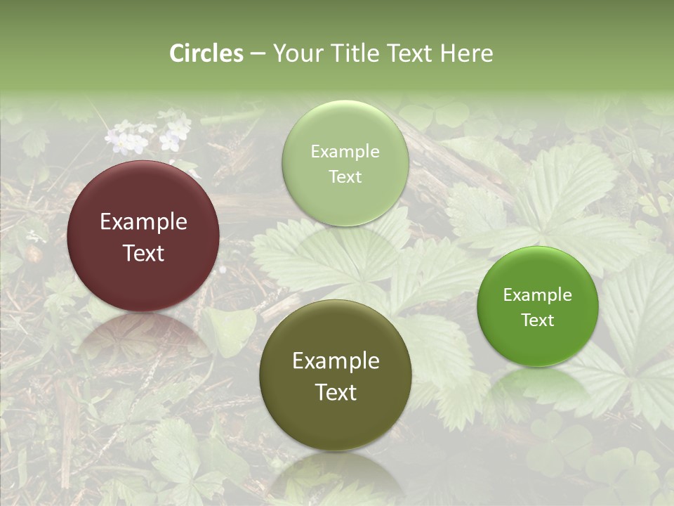 Generic Grass Leafs PowerPoint Template