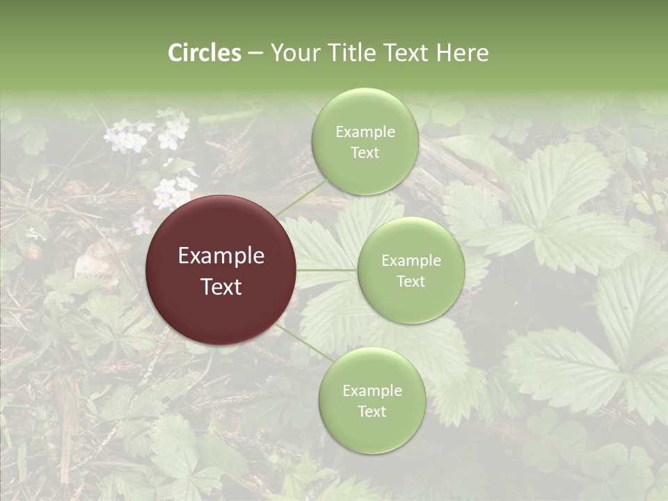 Generic Grass Leafs PowerPoint Template