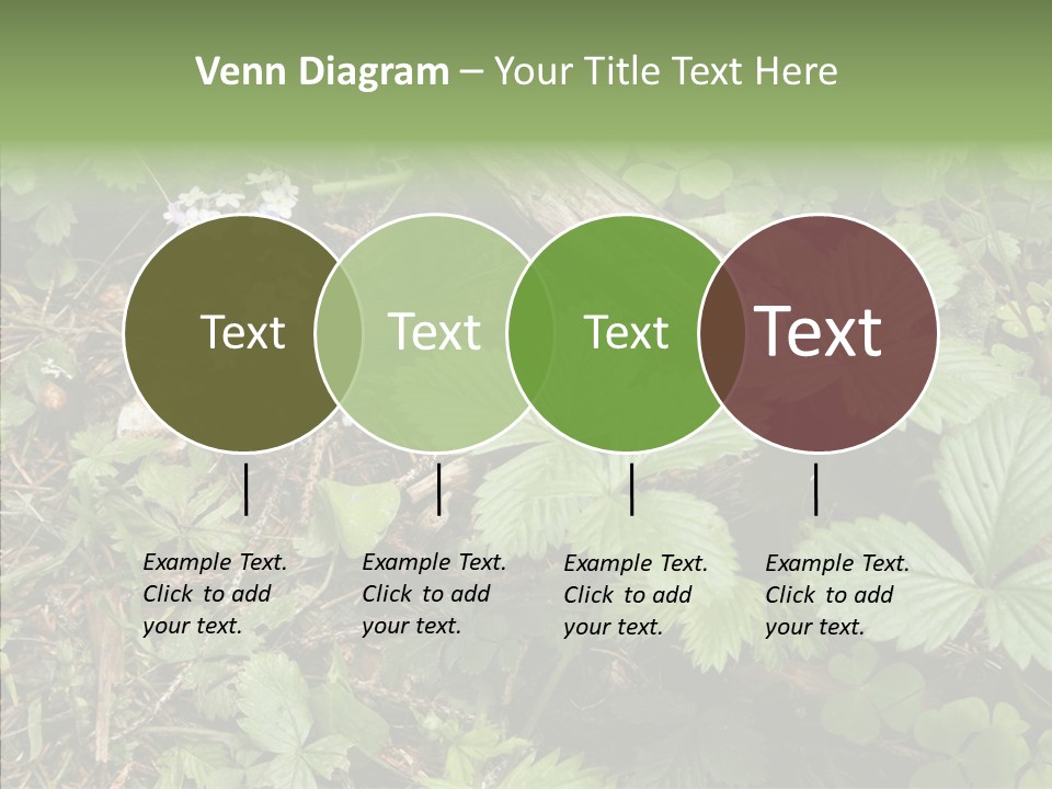Generic Grass Leafs PowerPoint Template