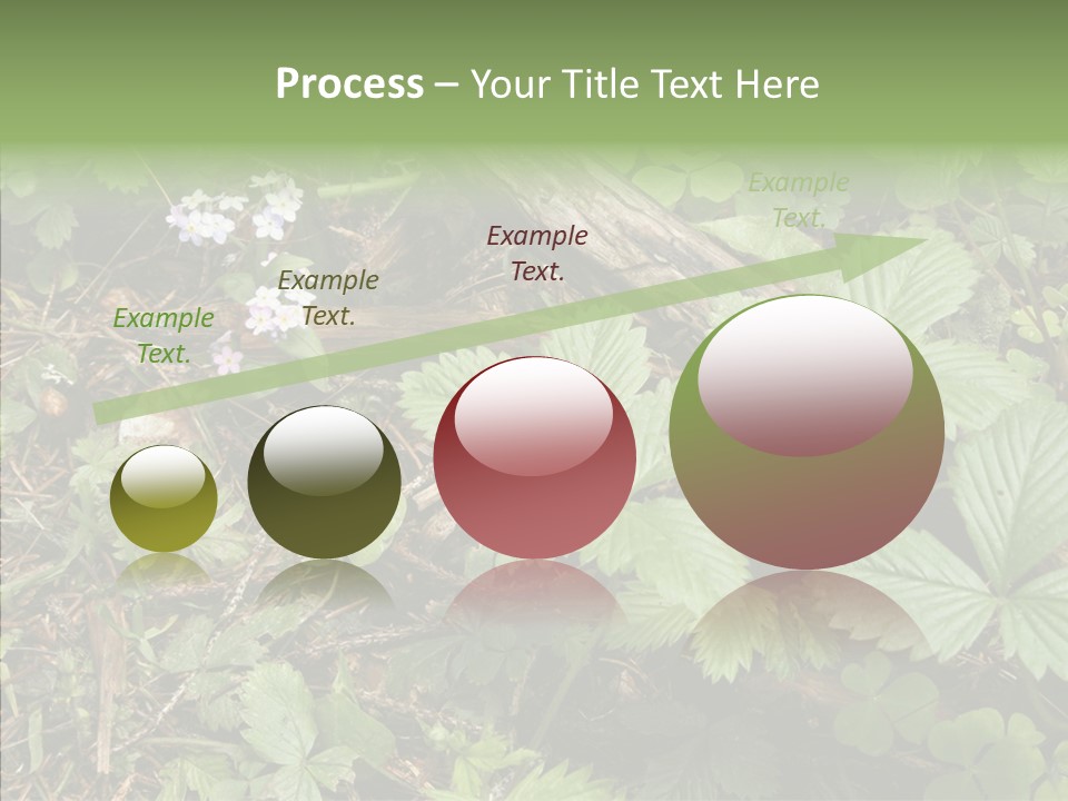 Generic Grass Leafs PowerPoint Template