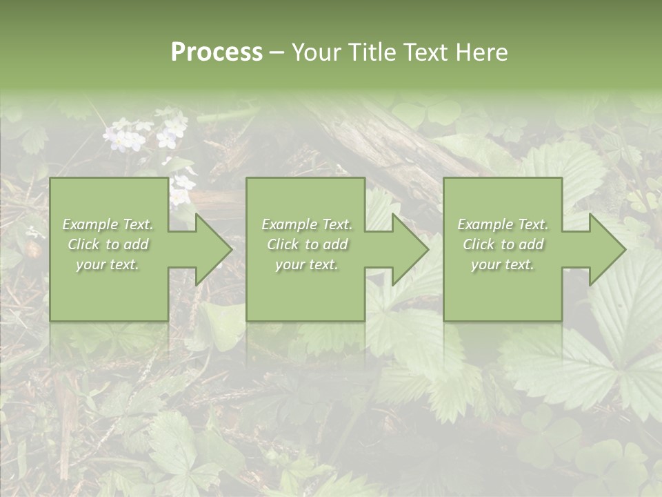 Generic Grass Leafs PowerPoint Template