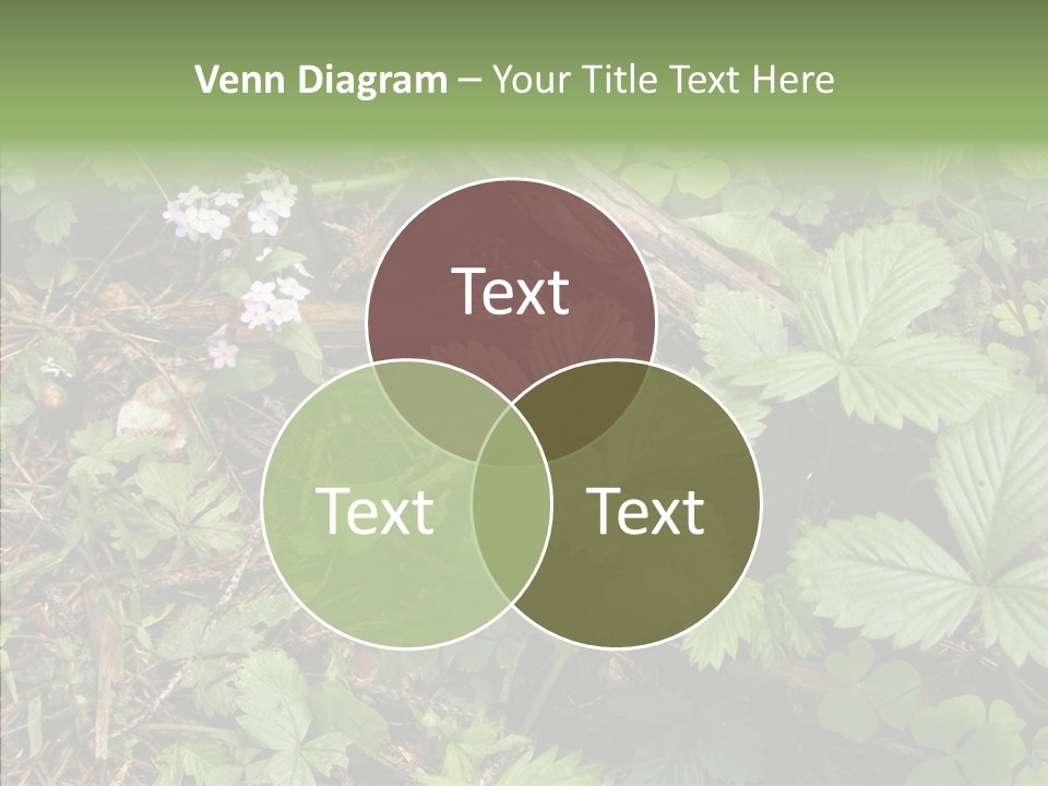 Generic Grass Leafs PowerPoint Template