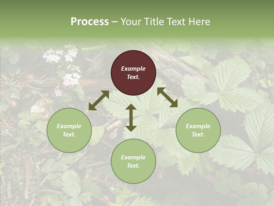 Generic Grass Leafs PowerPoint Template