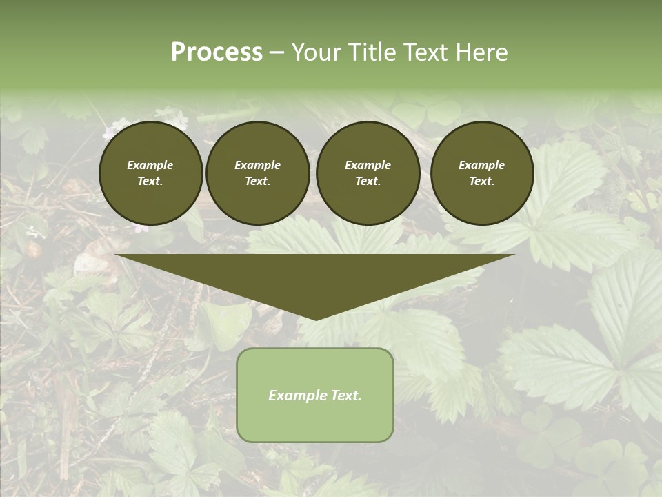 Generic Grass Leafs PowerPoint Template